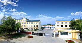 物美價廉的交流伺服電機