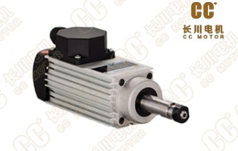 詳細(xì)的伺服電機(jī)介紹